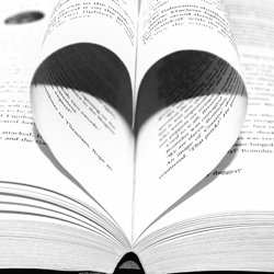 love_of_books_202371