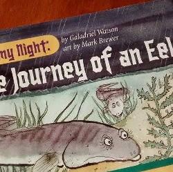 nonfiction1 (250x249)